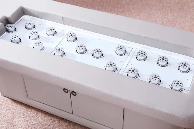 Infrared Thermal Moxibustion Massage Bed for Wellness and Spa Therapy DN0101_Moxibustion Beds
