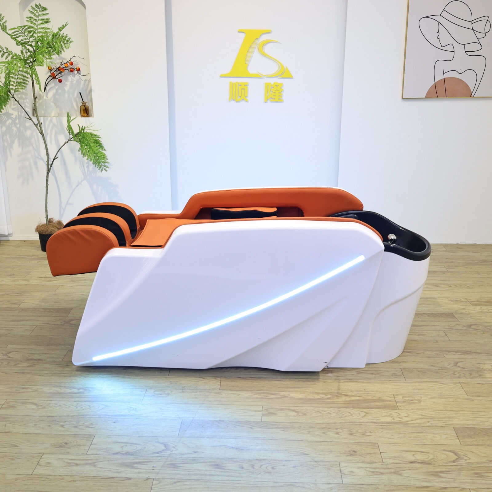 Mobile Backwash Shampoo Unit with Electric System for Salon Use DN0227_Massage Shampoo Beds