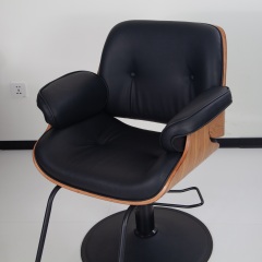 Hydraulic Barber Chair for Hair Salon Styling Use DN0115_Hydraulic Chairs