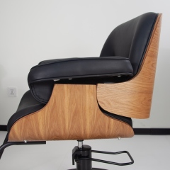 Hydraulic Barber Chair for Hair Salon Styling Use DN0115_Hydraulic Chairs