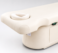 1 Motor Electric Beauty Bed with Adjustable Backrest and Storage for Salon Use DN0021_1 Motor Beds
