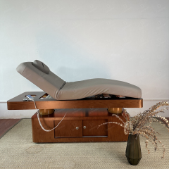 4 Motor Electric Spa Beauty Bed with Wooden Base for Salon Use DN0013_4 Motor Beds
