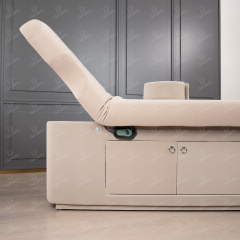 1 Motor Electric Beauty Bed for Facial Spa Treatment DN0008_1 Motor Beds