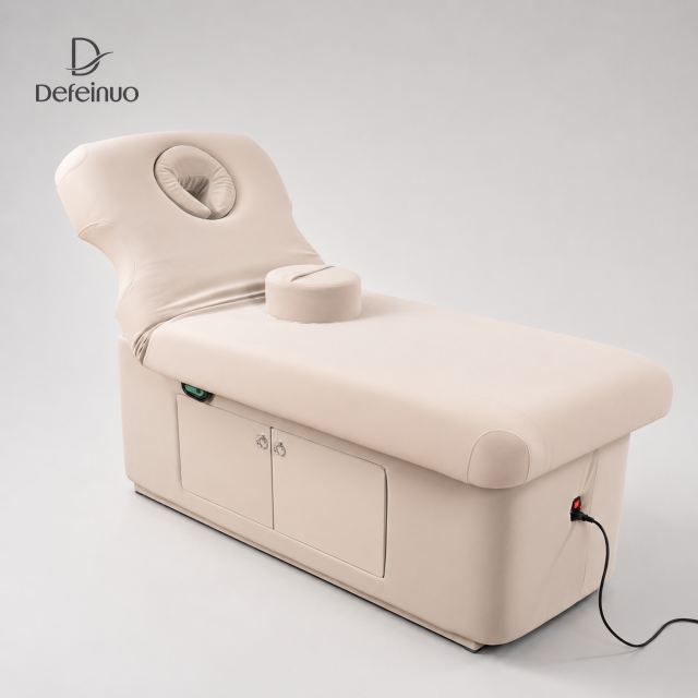 1 Motor Electric Beauty Bed for Facial Spa Treatment DN0008_1 Motor Beds
