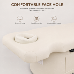 1 Motor Electric Beauty Bed with Adjustable Backrest and Storage for Salon Use DN0021_1 Motor Beds