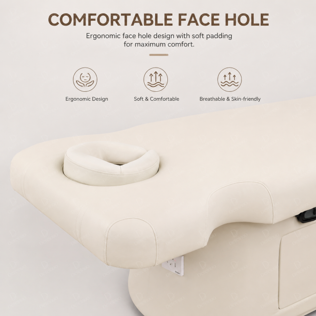 1 Motor Electric Beauty Bed with Adjustable Backrest and Storage for Salon Use DN0021_1 Motor Beds