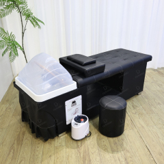 Professional Head Spa Shampoo Bed for Salon Hair Washing System DN0228_Standard Shampoo Beds