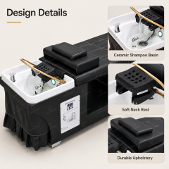 Professional Head Spa Shampoo Bed for Salon Hair Washing System DN0228_Standard Shampoo Beds