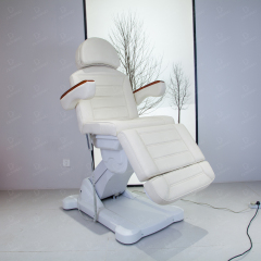 3 to 4 Motor Electric Beauty Chair with Armrests for Medical Spa DN0022_Electric Beauty Chairs