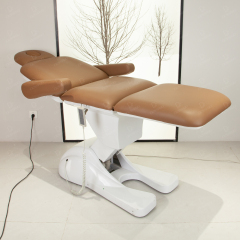 3 Motor Folding Electric Beauty Chair for Spa Facial and Massage Treatment DN0023_Electric Beauty Chairs