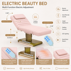 4 Motor Electric Beauty Chair with Adjustable Function for Facial Spa Use DN0240_Electric Beauty Chairs