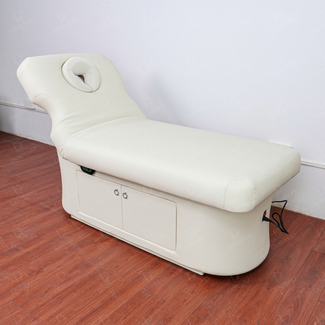 1 Motor Electric Beauty Bed with Adjustable Backrest and Storage for Salon Use DN0021_1 Motor Beds