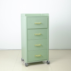 4 Wheel Rolling Salon Storage Cabinet Trolley for Beauty Salon Use DN0249_Salon Trolleys