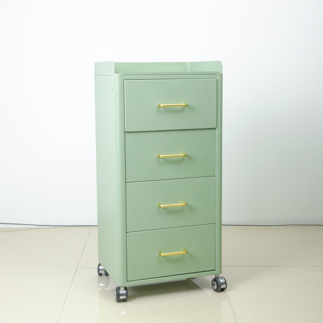 4 Wheel Rolling Salon Storage Cabinet Trolley for Beauty Salon Use DN0249_Salon Trolleys
