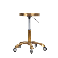 360° Swivel Technician Chair with Height Adjustment for Salon Use DN0272_Technician Chairs