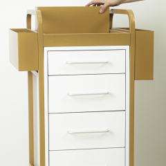 4 Drawer Rolling Storage Cabinet Trolley for Salon Use DN0254_Salon Trolleys