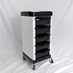 5 Layer Stainless Steel Salon Trolley Cart for Beauty Salon Use DN0203_Salon Trolleys