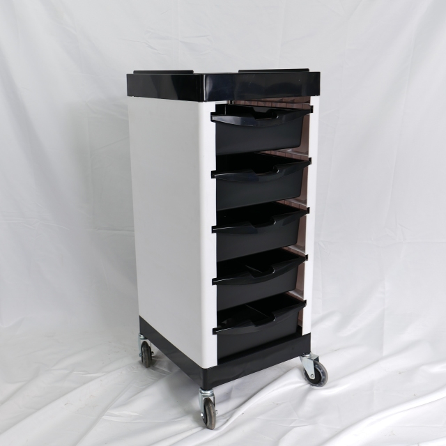 5 Layer Stainless Steel Salon Trolley Cart for Beauty Salon Use DN0203_Salon Trolleys