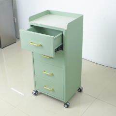 4 Wheel Rolling Salon Storage Cabinet Trolley for Beauty Salon Use DN0249_Salon Trolleys