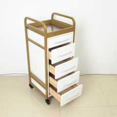 4 Drawer Rolling Storage Cabinet Trolley for Salon Use DN0254_Salon Trolleys