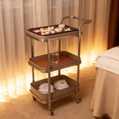 Multi-Layer Adjustable Salon Trolley Cart for Beauty Salon Use DN0184_Salon Trolleys