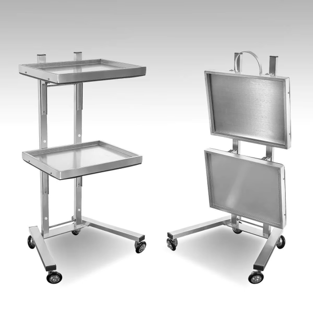 Double Layer Salon Utility Trolley Cart with Wheels for Beauty Salon DN0190_Salon Trolleys
