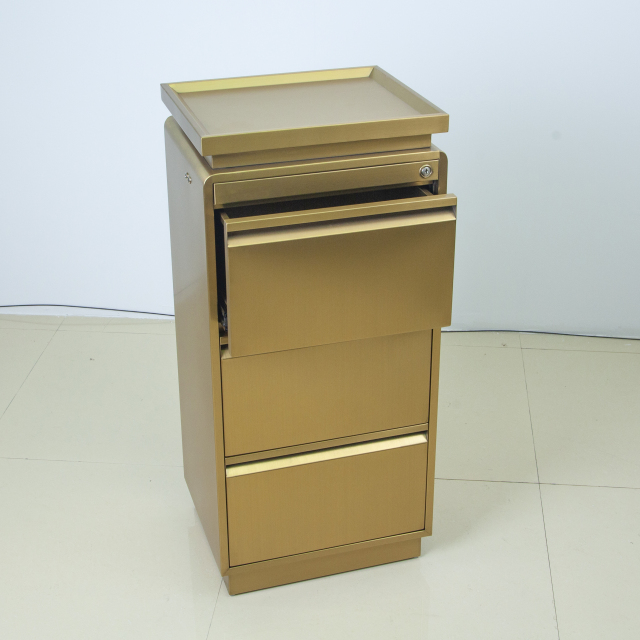 Lockable Rolling Salon Storage Cabinet with Wood Style Panel DN0245_Storage Cabinets