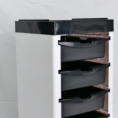 5 Layer Stainless Steel Salon Trolley Cart for Beauty Salon Use DN0203_Salon Trolleys