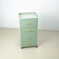 4 Wheel Rolling Salon Storage Cabinet Trolley for Beauty Salon Use DN0249_Salon Trolleys