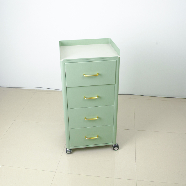 4 Wheel Rolling Salon Storage Cabinet Trolley for Beauty Salon Use DN0249_Salon Trolleys
