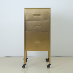 Salon Styling Station Trolley with Storage for Hair Salon Use DN0253_Salon Trolleys