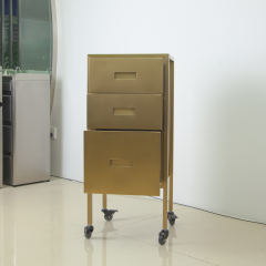 Salon Styling Station Trolley with Storage for Hair Salon Use DN0253_Salon Trolleys