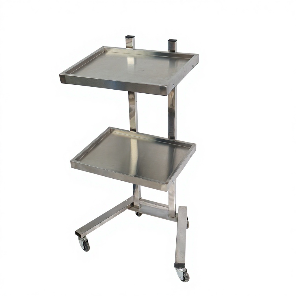 Double Layer Salon Utility Trolley Cart with Wheels for Beauty Salon DN0190_Salon Trolleys