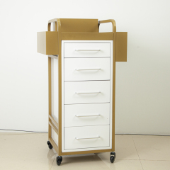 4 Drawer Rolling Storage Cabinet Trolley for Salon Use DN0254_Salon Trolleys
