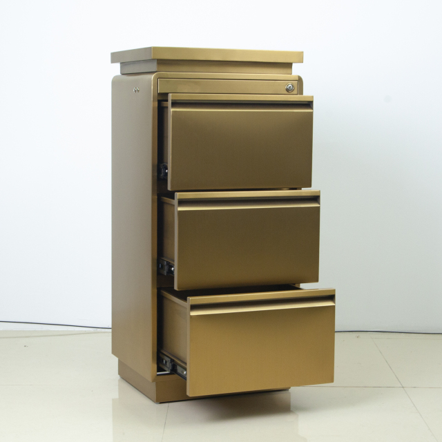 Lockable Rolling Salon Storage Cabinet with Wood Style Panel DN0245_Storage Cabinets