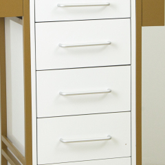 4 Drawer Rolling Storage Cabinet Trolley for Salon Use DN0254_Salon Trolleys