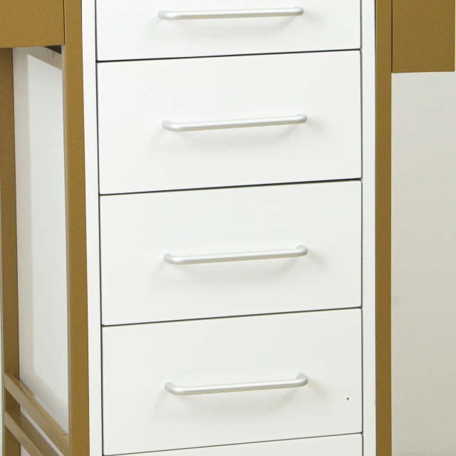 4 Drawer Rolling Storage Cabinet Trolley for Salon Use DN0254_Salon Trolleys