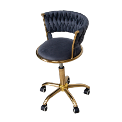 Velvet Upholstered Technician Chair with Gold Base for Salon Use DN0274_Technician Chairs