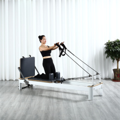 Fashional Commercial Aluminium Reformer