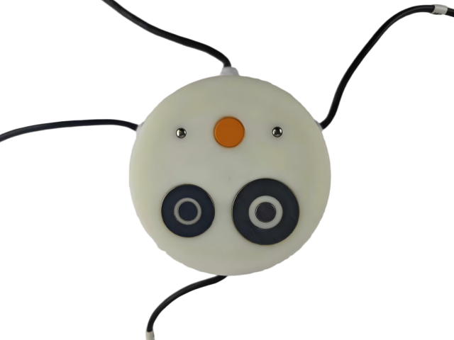 Induskey INK426 Embedded Road Condition Sensor