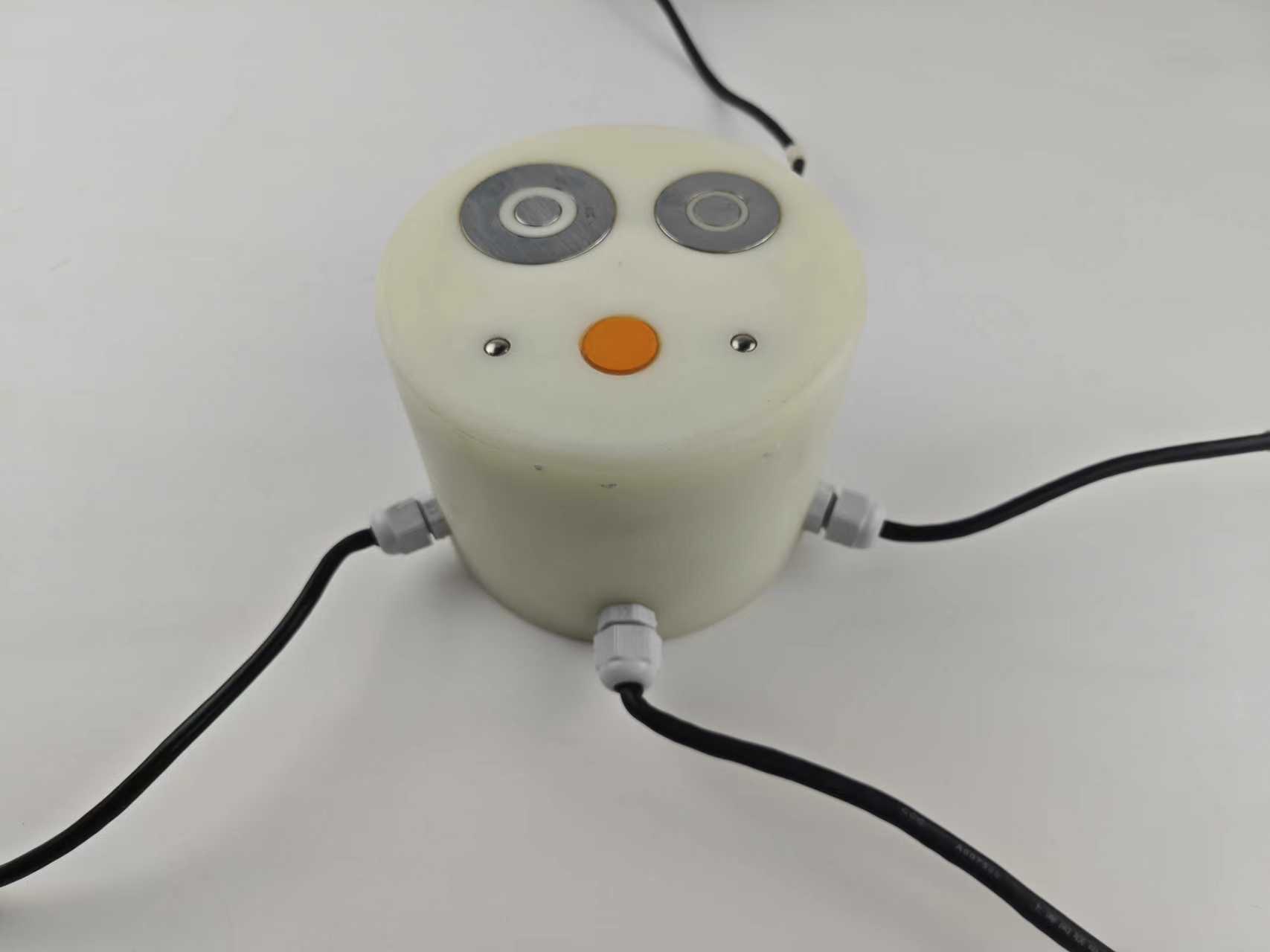 Induskey INK426 Embedded Road Condition Sensor