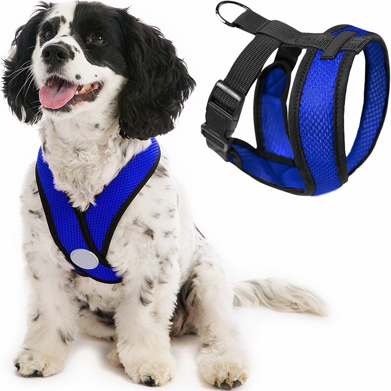 pet harness