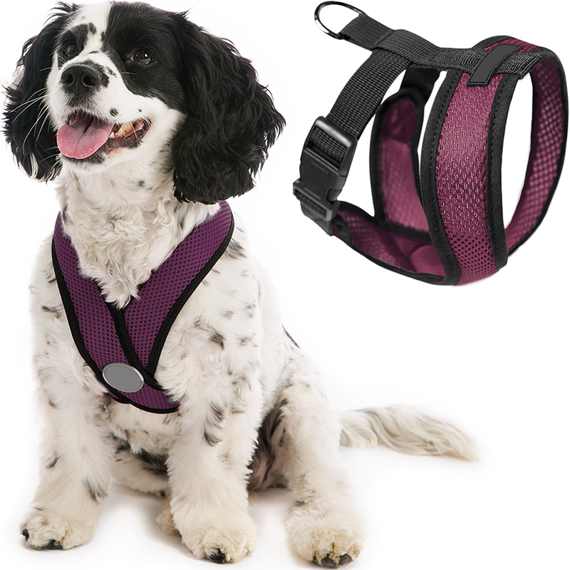 pet harness