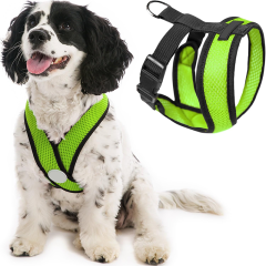 pet harness