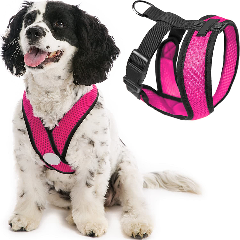 pet harness