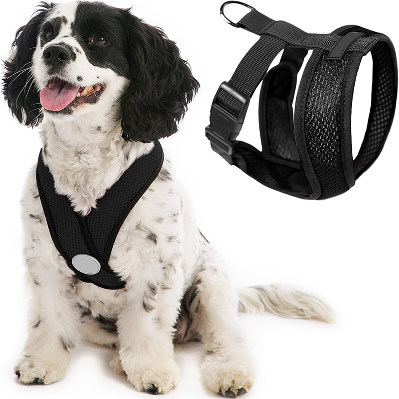 pet harness