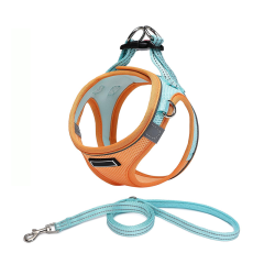colorful harness