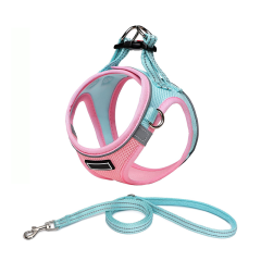 colorful harness