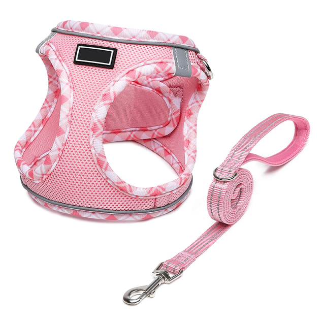 colorful harness