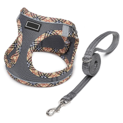 colorful harness